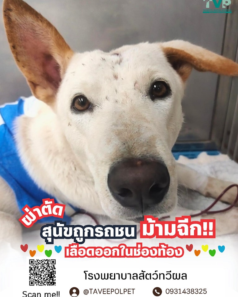 486436374_981925507408130_7951148379890984177_n