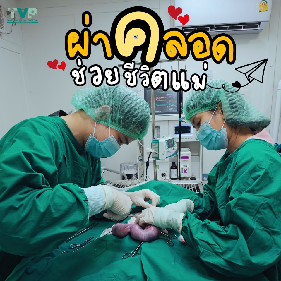 487089930_982349177365763_2702414700524849288_n