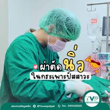 โรงพยาบาลสัตว์ทวีผล