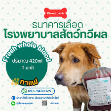 โรงพยาบาลสัตว์ทวีผล